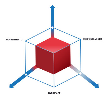Cubo de Competências