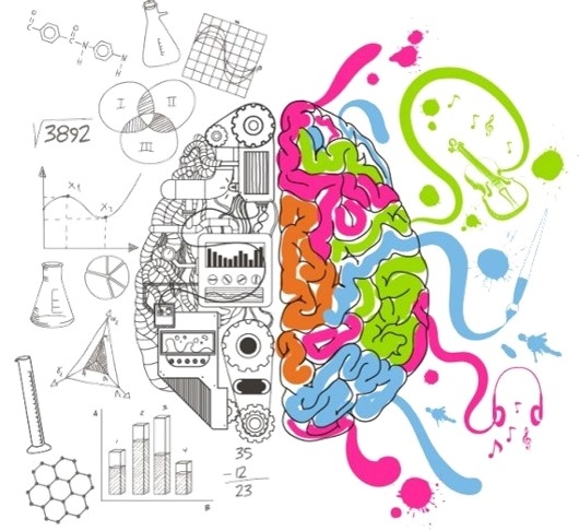 os hemisférios do cérebro durante o aprendizado: racional e imaginativo